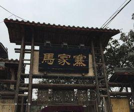 馬家寨[湖北省荊門市東寶區馬家寨]