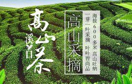 溪口高山茶