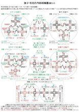 理論物理專業