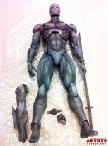 Gray Fox