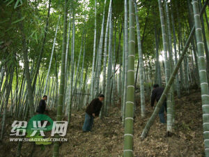 埔田生態農業觀光風景區