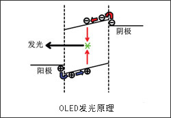 OLED結構原理圖