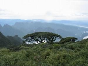 金秀聖堂山