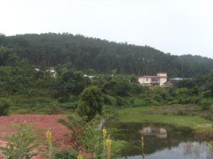 勐臘縣勐臘鎮曼納傘村委會園藝廠村