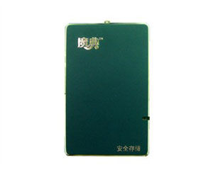 魔典 移動硬碟 A1800（30GB)