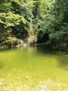 城固縣二里鎮雙龍村黑溝河