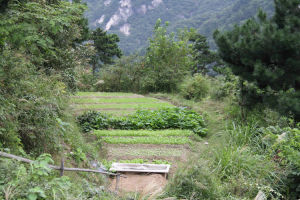 龜峰山村