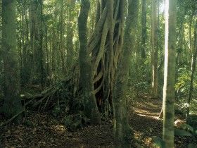 雷明頓國家公園