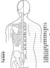 常用俞穴定點陣圖解