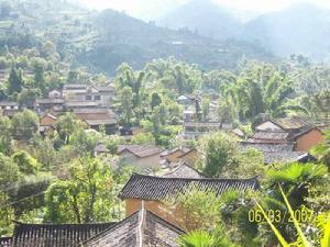 大有村[廣東中山市阜沙鎮下轄村]