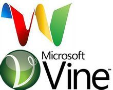 vine