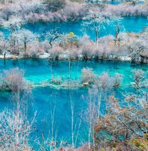 樹正群海