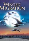 Winged Migration