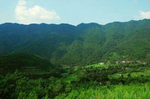 黑龍江龍山國家森林公園