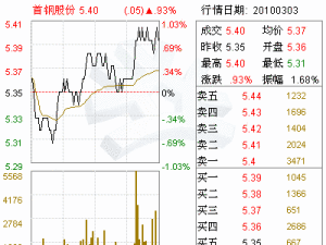 北京首鋼股份有限公司