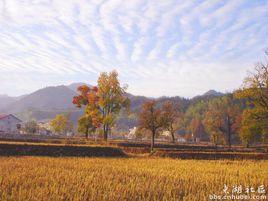 百風之子 百風之子