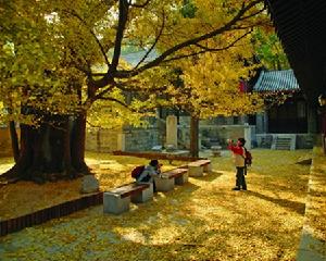 西山大覺寺