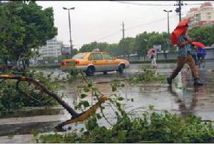 浙江樂清市街頭的許多樹木被大風攔腰折斷