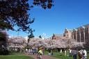 The University of Washington