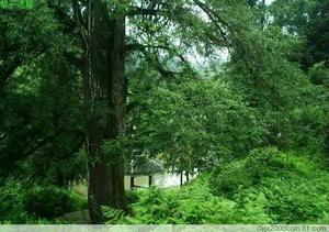 臘洞村[貴州省黔東南州黎平縣茅貢鄉下轄村]