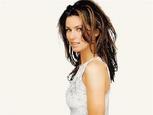 shania twain[加拿大女歌手]