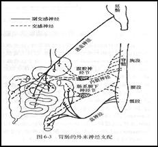 腸中風