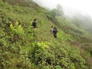 硬寨山自然村