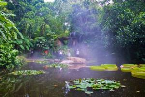 廈門園林植物園