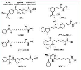 組蛋白去乙醯化酶抑制劑