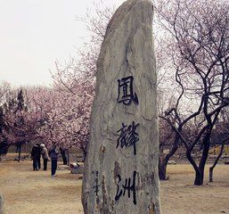 鳳麟洲[圓明園景觀遺址]