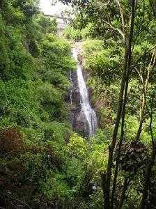 六福村景觀