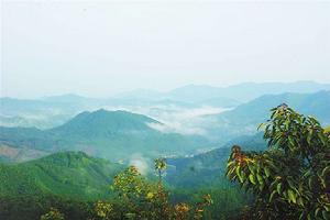 江西金盆山國家森林公園