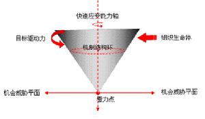 陀螺理論