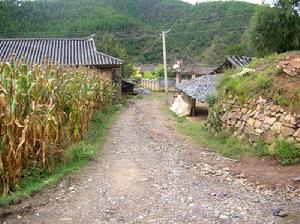 村內道路路面衛生狀況