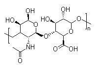 甲基丁醯輔酶