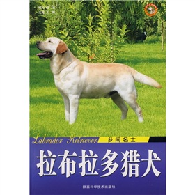 鄉間名士：拉布拉多獵犬