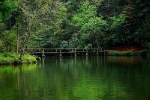 四面山國家森林公園