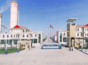 山東金正大公司 山東金正大公司