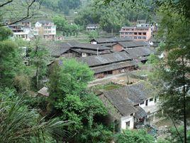 大岙村[浙江樂清市白石街道下轄村]