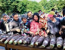 村民圍觀炭步檳榔香芋