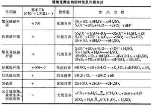 土壤礦物質轉化