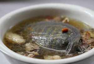 甲魚湯