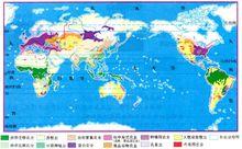 世界農業分布