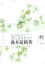 我不是精英[小說]