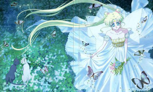 美少女戰士[20周年紀念新作 Sailor Moon Crystal]