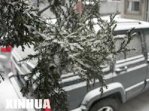 二月北京話大雪(圖)