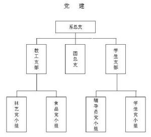 黨建機構