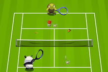 熊貓烏龜網球賽
