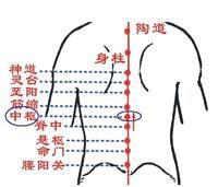 中樞[漢語詞語]