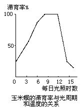 滯育